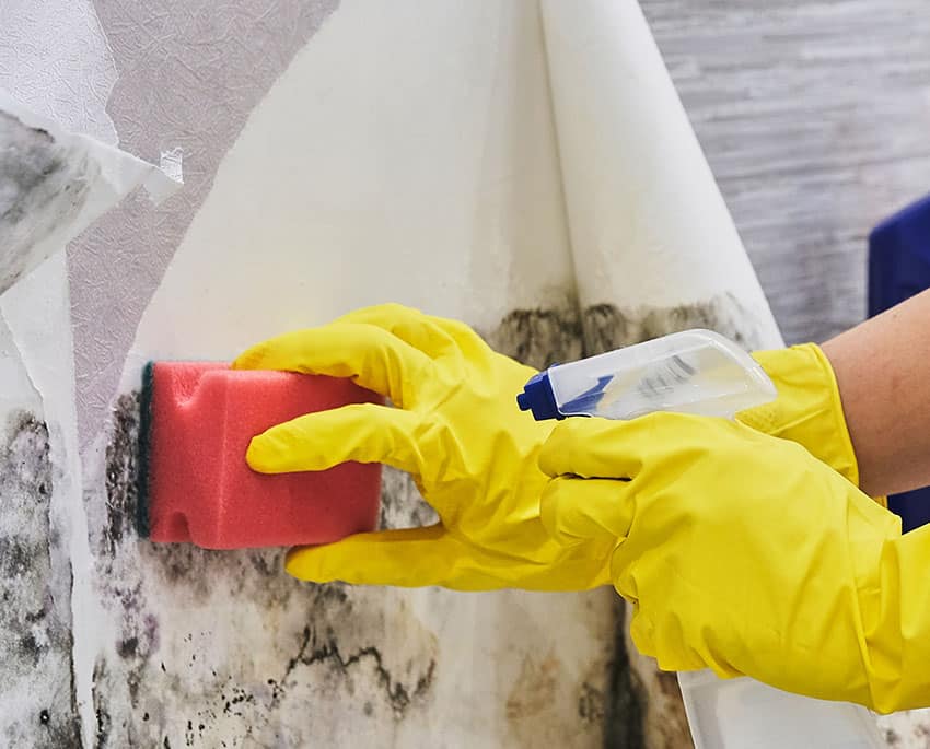 There are several different methods you can use to remove mould
