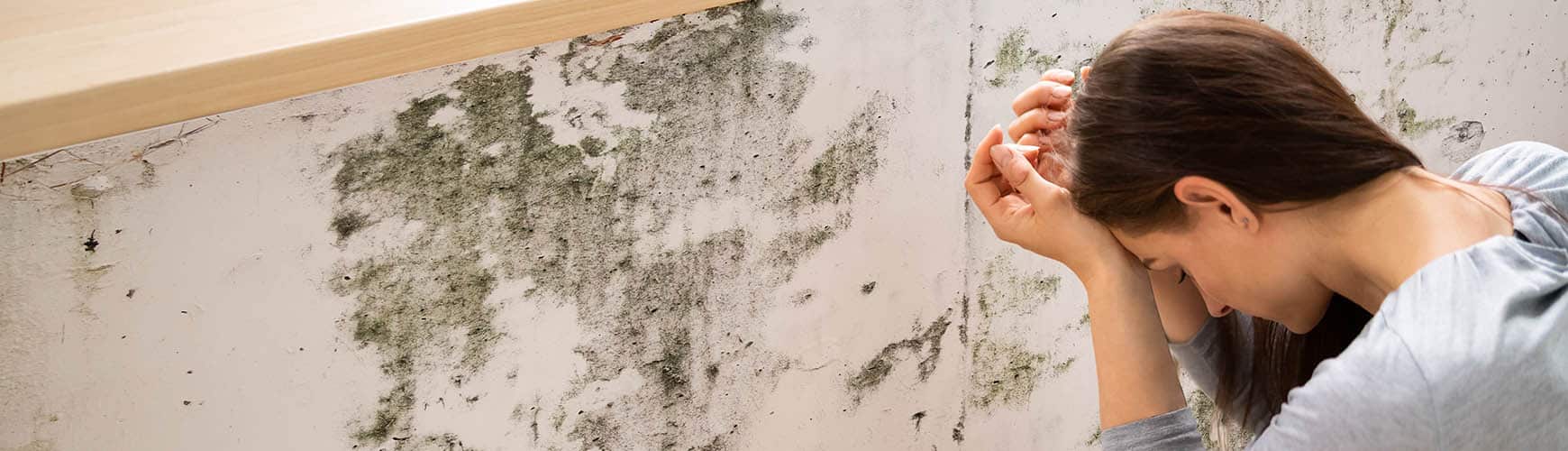 At a relative humidity of over 95 percent, or if a surface is directly damp, mould can germinate on inorganic, porous materials. All it takes is a little organic material, such as dust