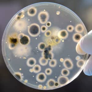 If you suspect hidden mould growth, it is a good idea to perform a mould air test. Mould can thrive in concealed places behind panels, walls, and other hidden areas