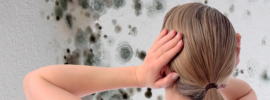 Products for testing for mould