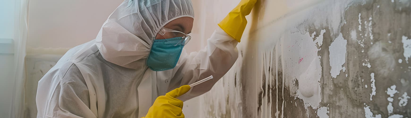 Mould remediation is a process that requires expert knowledge and the right equipment to ensure that the mould does not spread further, and that it does not recur