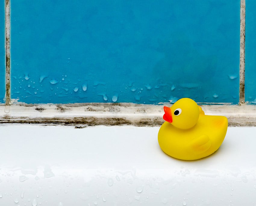 One of the most common places black mould occurs is in the bathroom due to the high humidity generated by showers, bathtubs, and sinks