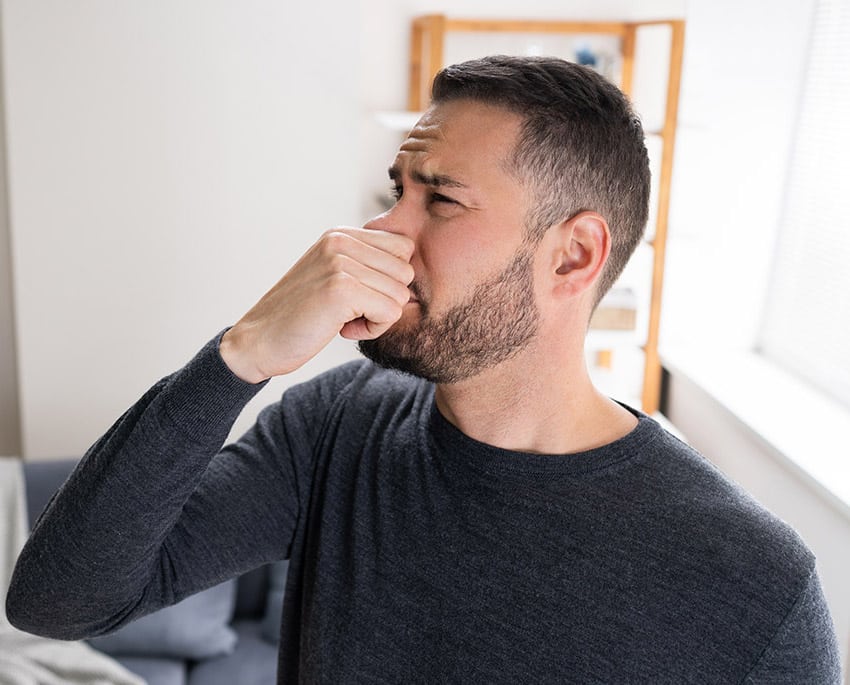 A persistent musty smell is a common warning sign that moisture may be present