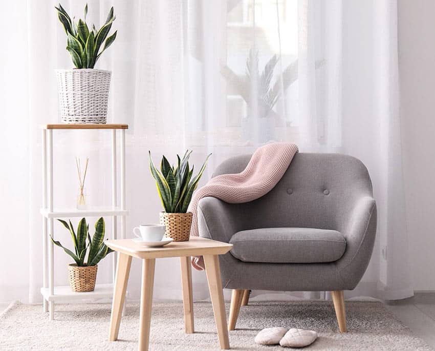 To measure indoor moisture, place the hygrometer in the area you want to monitor, such as a bedroom, living room, bathroom or office